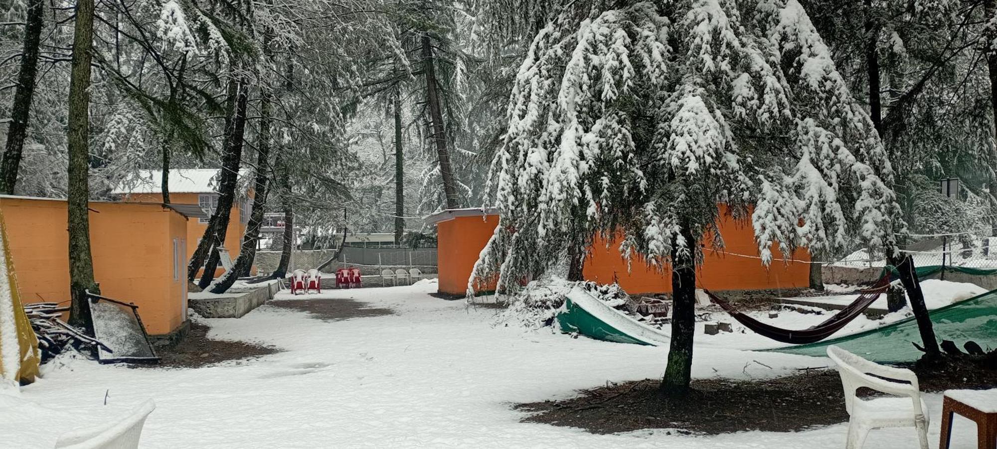 Pandora Riverside Cafe & Stay Kasol Dış mekan fotoğraf