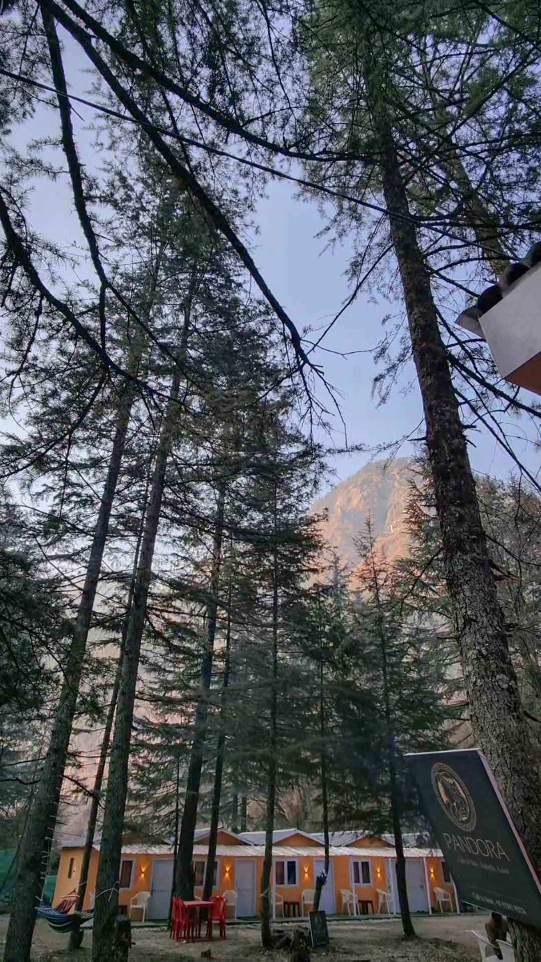 Pandora Riverside Cafe & Stay Kasol Dış mekan fotoğraf